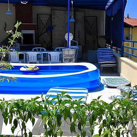Delphin Side