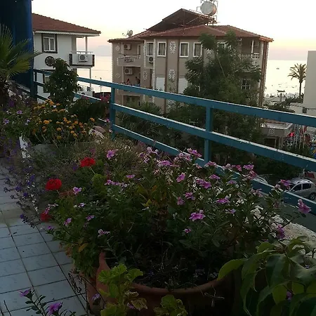 Delphin Hotell 3*