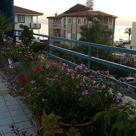 Delphin ホテル 3*